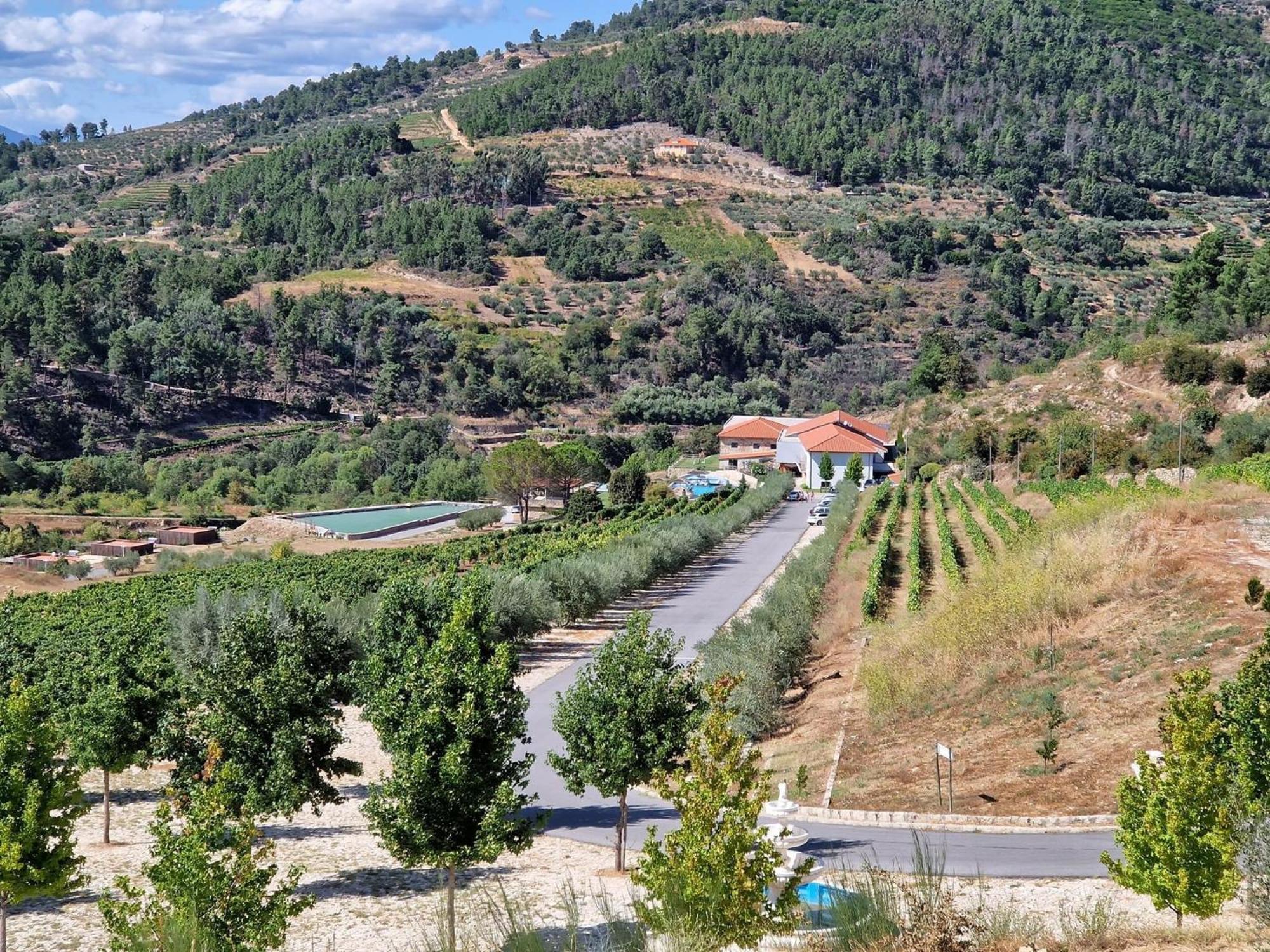 Douro Cister Hotel Resort Ucanha المظهر الخارجي الصورة